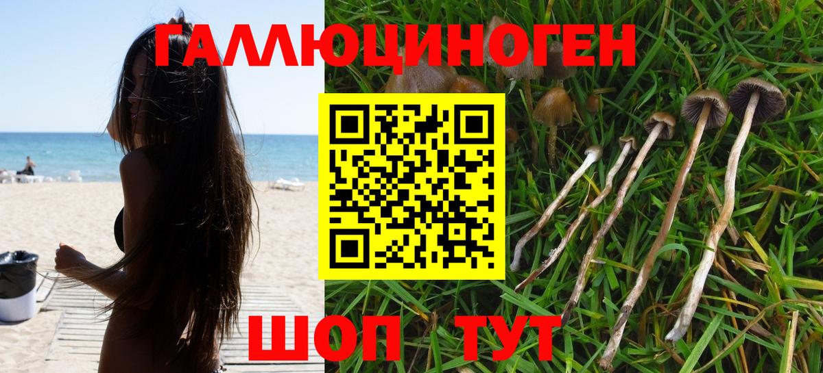 Галлюциногенные грибы MAGIC MUSHROOMS  Вход с VPN  Вышний Волочёк 